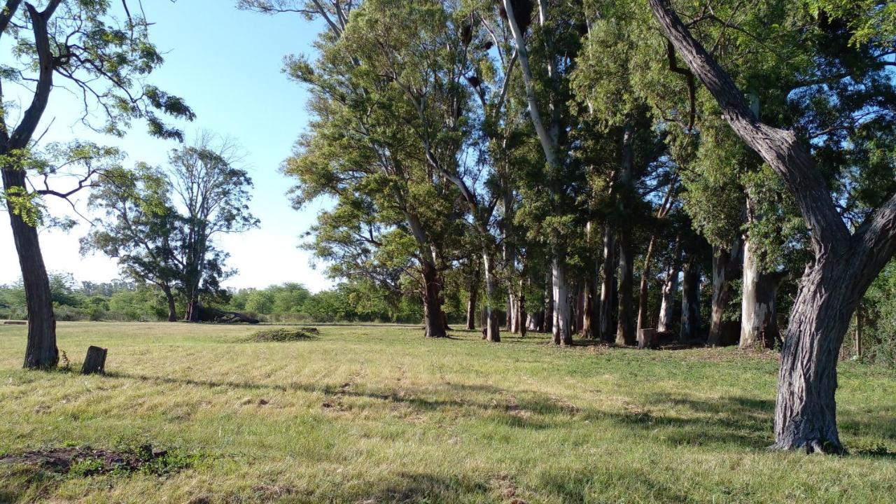 Los Arboles, Casa Completa A 5 Minutos Del Aeropuerto Ezeiza Exteriér fotografie